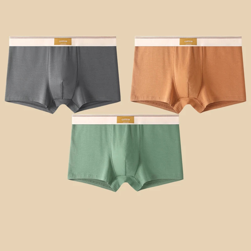 Sous-vêtements en coton respirant pour hommes, culottes confortables, boxer sexy, short document solide, 3 pièces