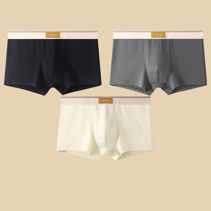 Sous-vêtements en coton respirant pour hommes, culottes confortables, boxer sexy, short document solide, 3 pièces