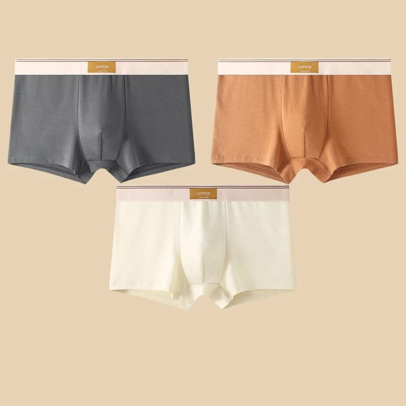 Sous-vêtements en coton respirant pour hommes, culottes confortables, boxer sexy, short document solide, 3 pièces