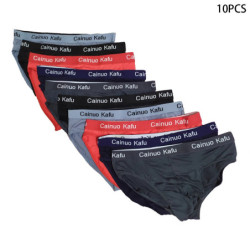 Culottes de Bikini pour hommes, 10 pièces, sous-vêtements, taille L-5XL, confortables, Sexy, Slip, en vogue