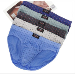 Lot de 5 slips 100 coton pour hommes, sous-vêtements confortables, M/L/XL/2XL/3XL/4XL/5XL, livraison gratuite et directe