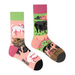 Chaussettes colorées unisexes en coton pour hommes et femmes, chaussettes originales AB Tide, chat, chien, koala, vache, quatre 