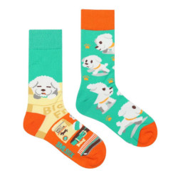 Chaussettes colorées unisexes en coton pour hommes et femmes, chaussettes originales AB Tide, chat, chien, koala, vache, quatre 