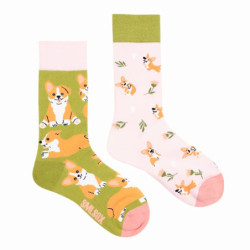 Chaussettes colorées unisexes en coton pour hommes et femmes, chaussettes originales AB Tide, chat, chien, koala, vache, quatre 