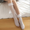 Chaussettes en résille en maille de dentelle sexy pour femmes, fibre mixte, transparentes, élastiques commandées, fil de filet d