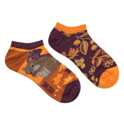 Chaussettes Courtes Colorées en Coton pour Homme et Femme, Animaux, Plantes, Tournesol, Décontracté, Rinçage, Cadeau d'Anniversa