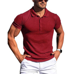 Polo à manches courtes pour hommes, chemises à col montant, rayures solides, fitness, élasticité, mode estivale, nouveau